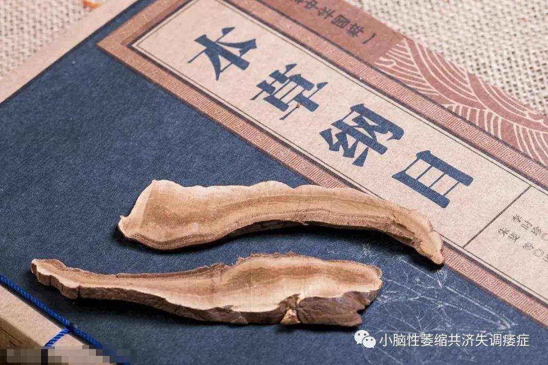 治療|【溫補祛萎湯】多系統萎縮的中醫方案