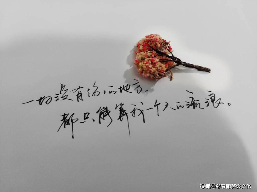 意味深长的伤感语录，句句触碰泪点，有感而发_搜狐网