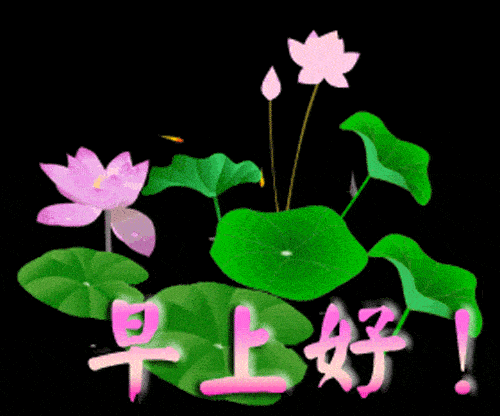 2021年最新最全的早上好动态表情图片创意唯美的早安问候祝福语带字