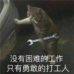 什么|御芝林小御说：打工人不配养生？灵魂熬得住，身体熬得住吗？