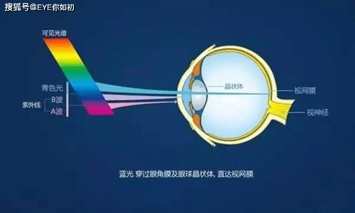 蓝光危害不容忽视 它正在吞噬您孩子的视力健康 人眼