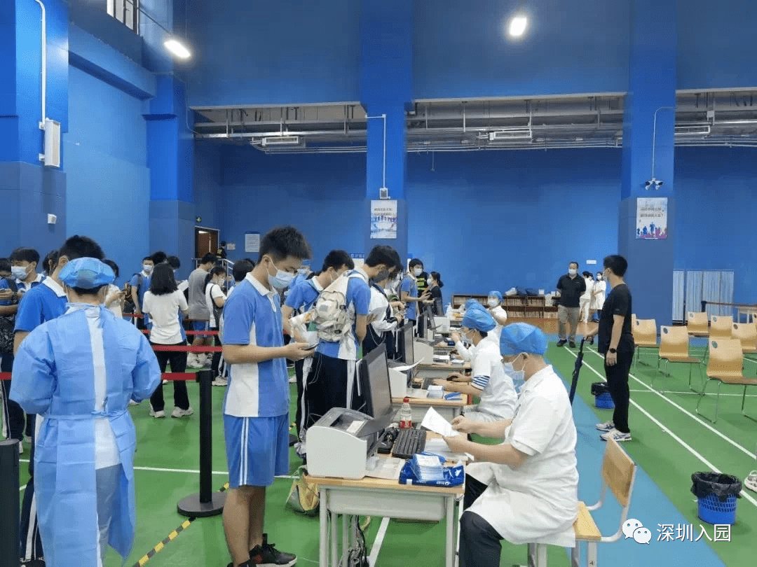 六大|大调整！深圳9月开学后，幼儿园将迎来六大关键性转变！