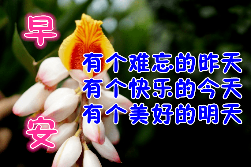 075f7484fe884e3c9d54e7235a61c224.png