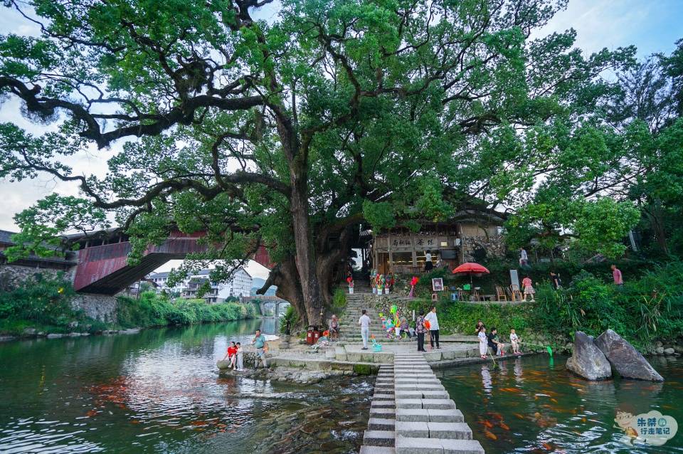 敞开大门|浙江一景区走红后，每年到访游客数百万，却继续敞开大门迎接游客