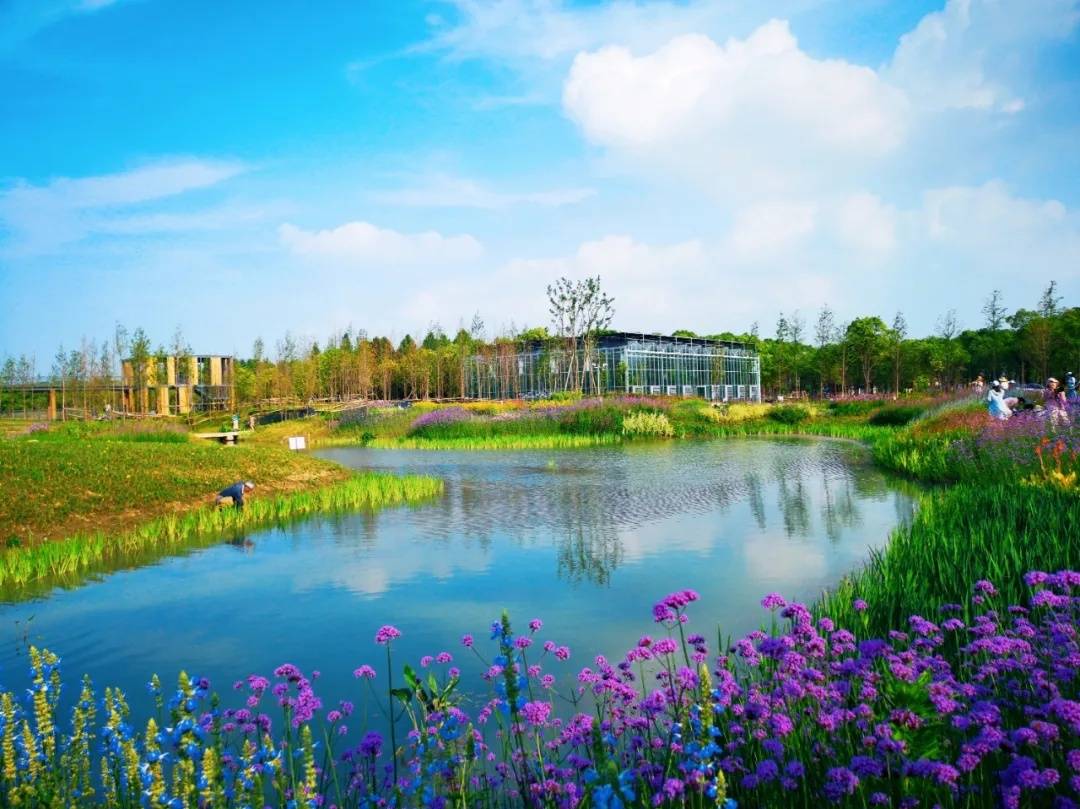 宝山这三个宝藏打卡地等你探索家门口的诗和远方