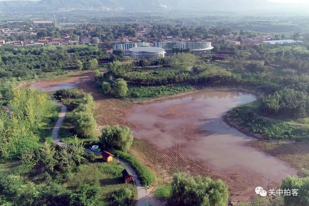 临渭区阳郭镇:航拍渭南植物园(花卉苗木现代农业示范基地)