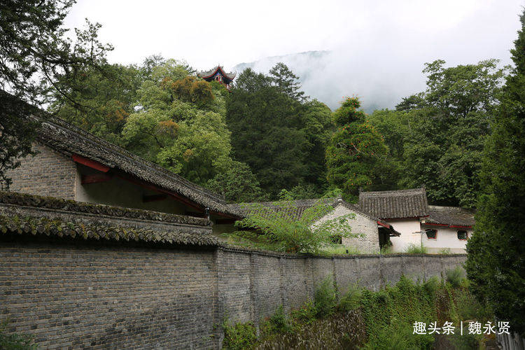 秦岭紫柏山下的张良庙：娑罗树枝繁叶茂，石鱼石牛质朴雄浑