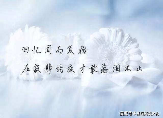 020b8b69c7a9481193fdc266c249c788.png