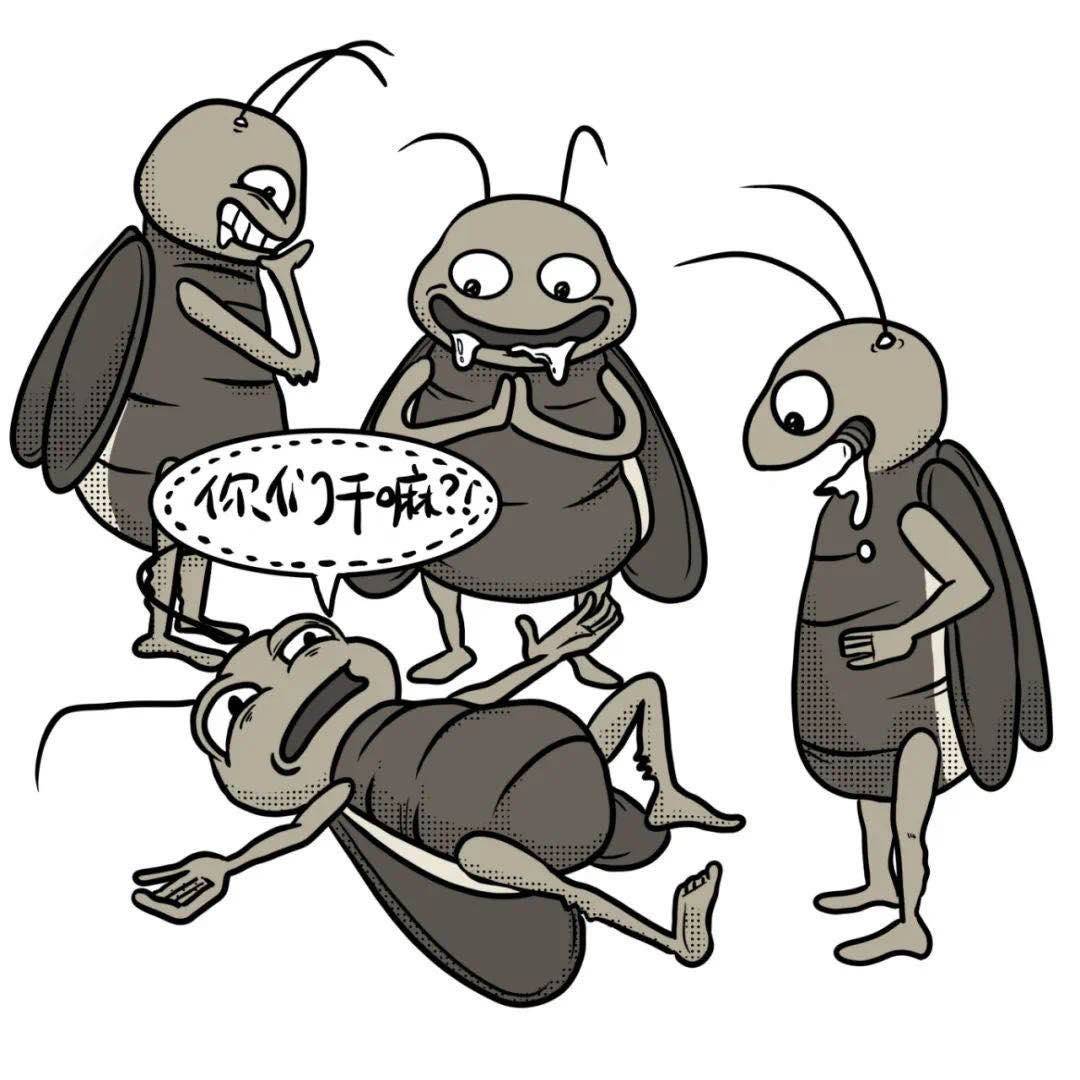 灭蟑螂表情包图片