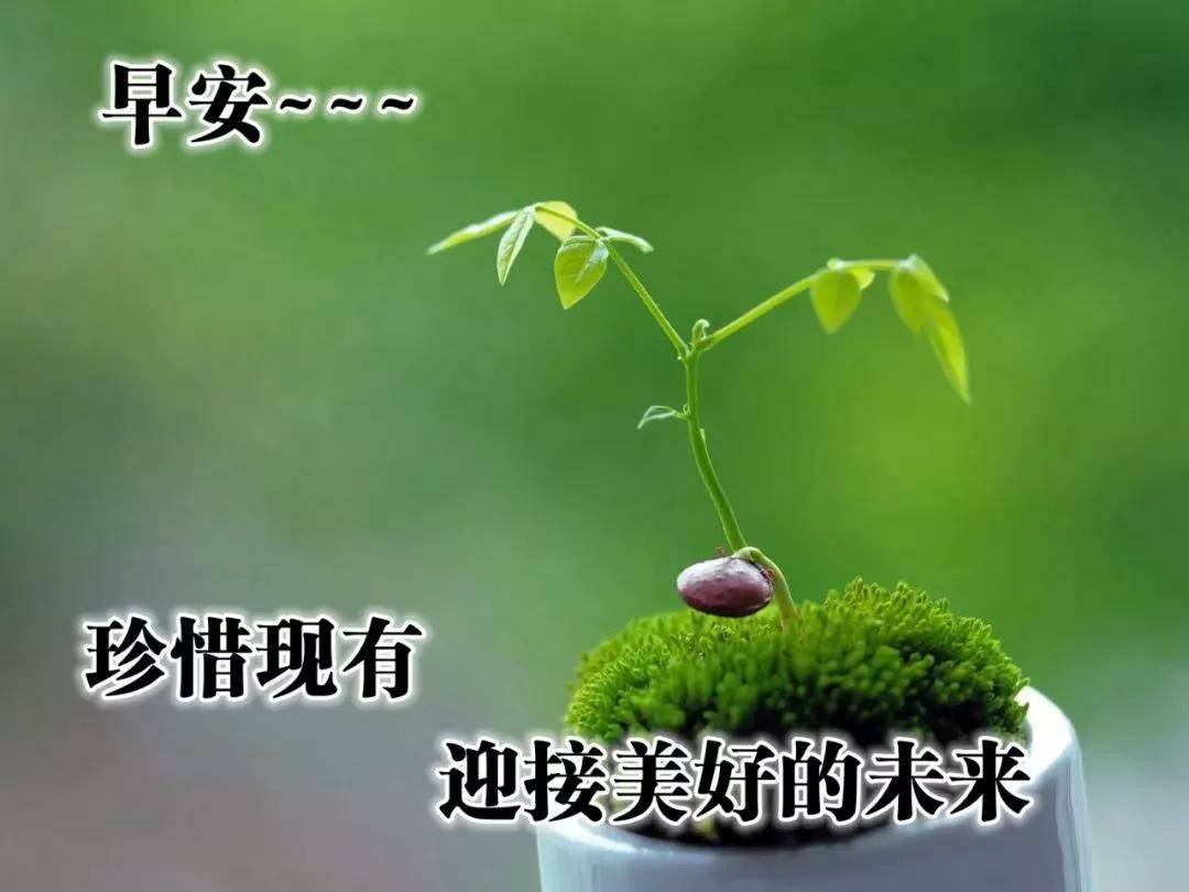 d5d57130e2484208bf017af2e4f9ac82.jpeg