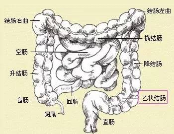 治疗|溃疡性结肠炎患者饮食攻略，速速收藏！