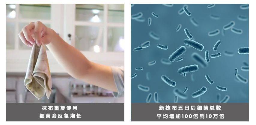 一块抹布引发多起家庭中毒 阅紫建议换用厨房湿巾_细菌