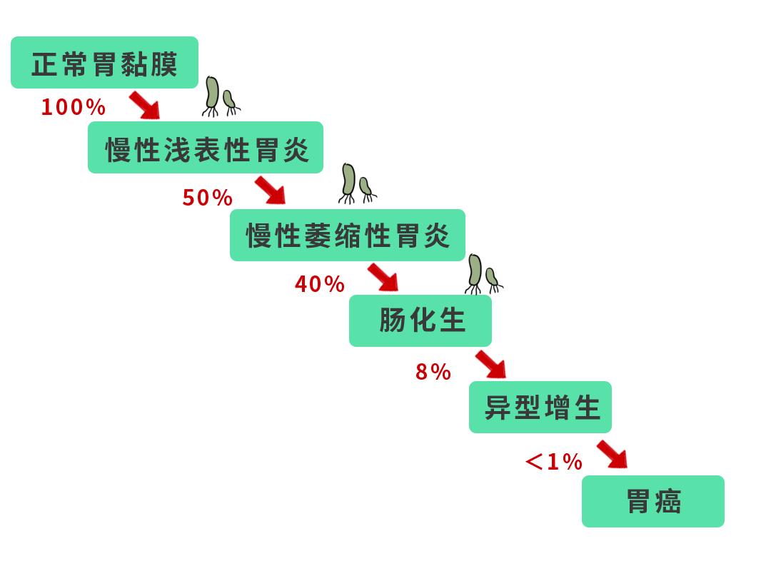 筛查|一人中招全家感染！传播幽门螺杆菌，全在这4个动作里！