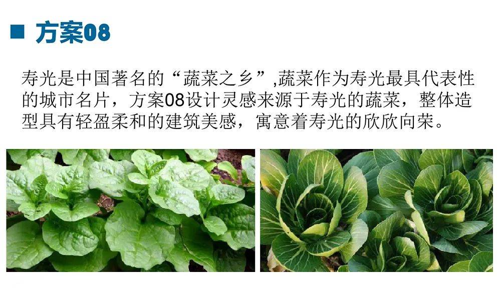 寿光|“大棚”还是“蔬菜”？你想让高铁寿光东站长啥样？