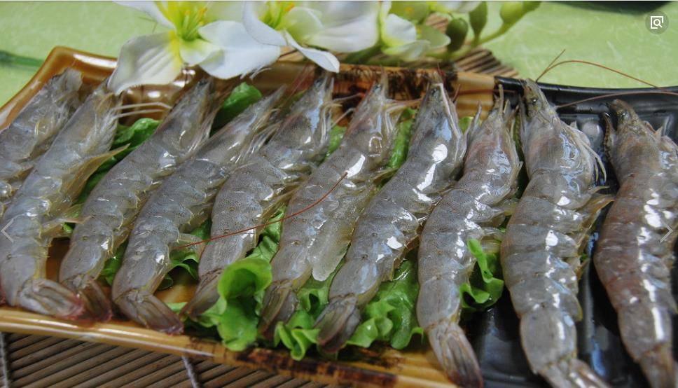 虾怎么开壳去虾线 358cd1ce05ac4f19b21b6af2ea9d55f4.jpeg