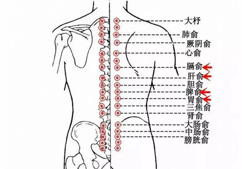 艾灸後,溼氣和寒氣去哪了?