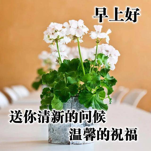 原创8张非常创意好看的早上好问候图片唯美秋天早安问候祝福图片带字