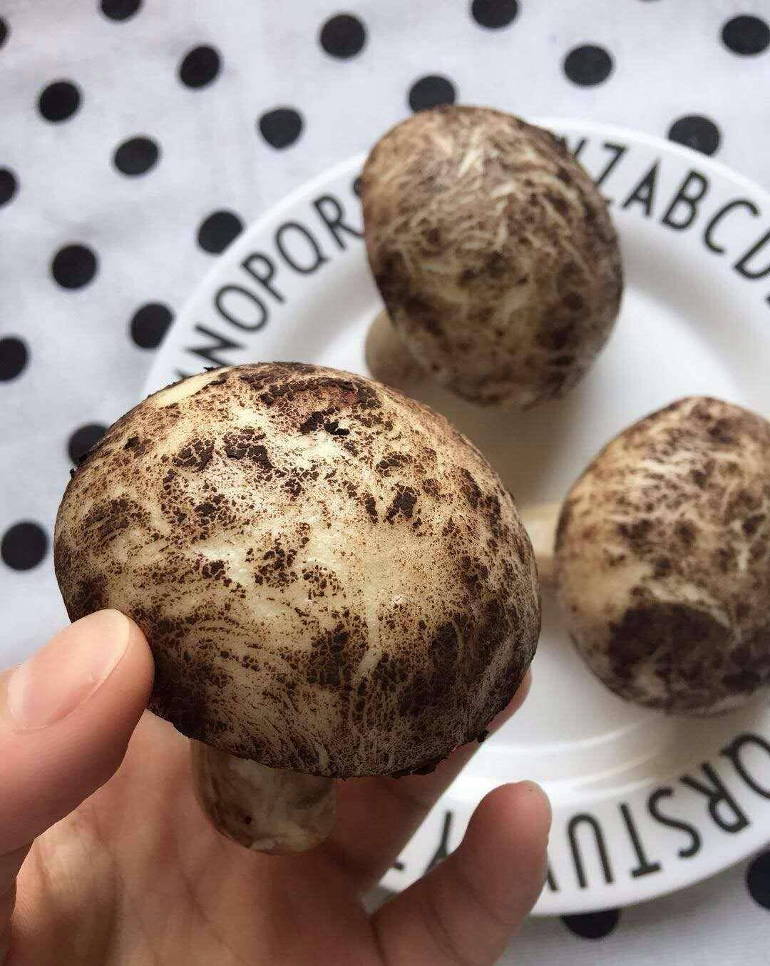 怎么做香菇包 6f5dc426dcdd42dd96de4ad3d48cb77c.jpeg