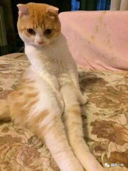 买点|你不理我,我也不理你,你一理我......