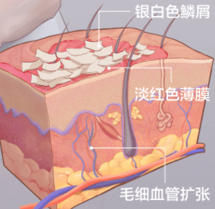 b6b5ebae7b9540ea8fe55401752e1f7c.png