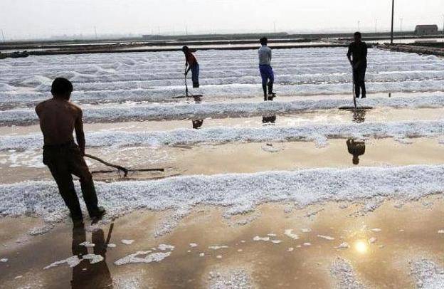 醇香|4种让人回味无穷的美味,是用脚踩出来的,有人不知