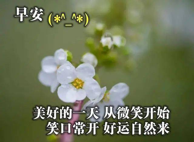 怎么才能早上起来清醒 31ca5e41f77b4531a3309cf36be075ee.jpeg