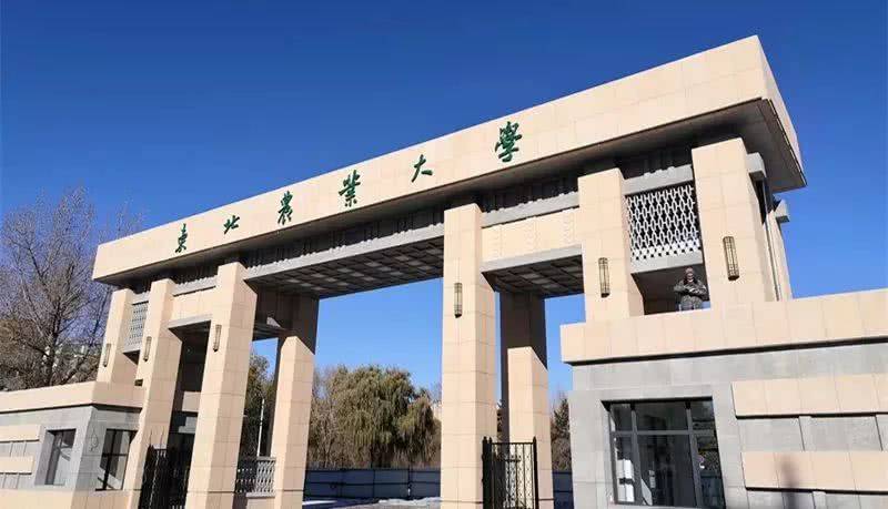 延边农业大学图片