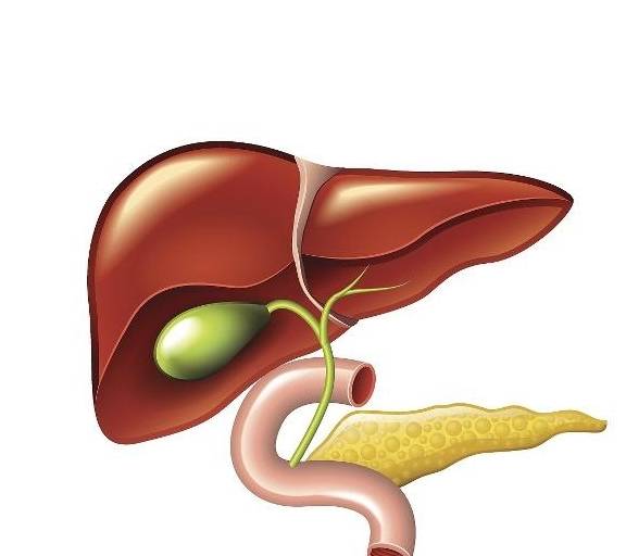 肝脏|肝脏有问题时，身体会有5个“通报”，出现一个都别疏忽