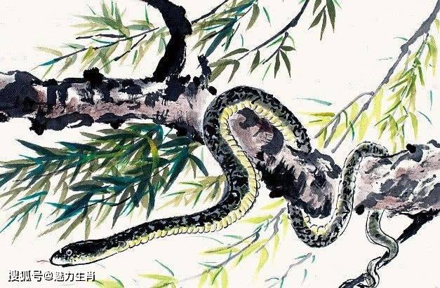 金蛇狂午升平岁，桂花香来是佳人是什么生肖指什么动物，仔细诠释解释落实