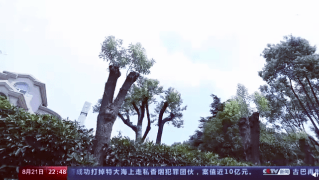 f4d1261103ae46e7bbd15aa13fa01dfa.png