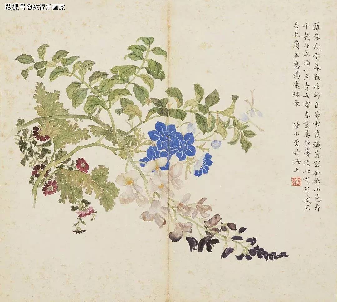 陆小曼花卉册页，惊艳！_搜狐网