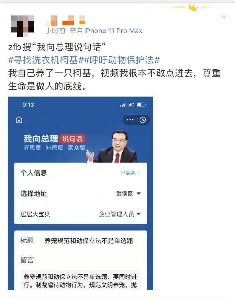 警方|全网在寻找的“洗衣机柯基”，目前有了重大进展！