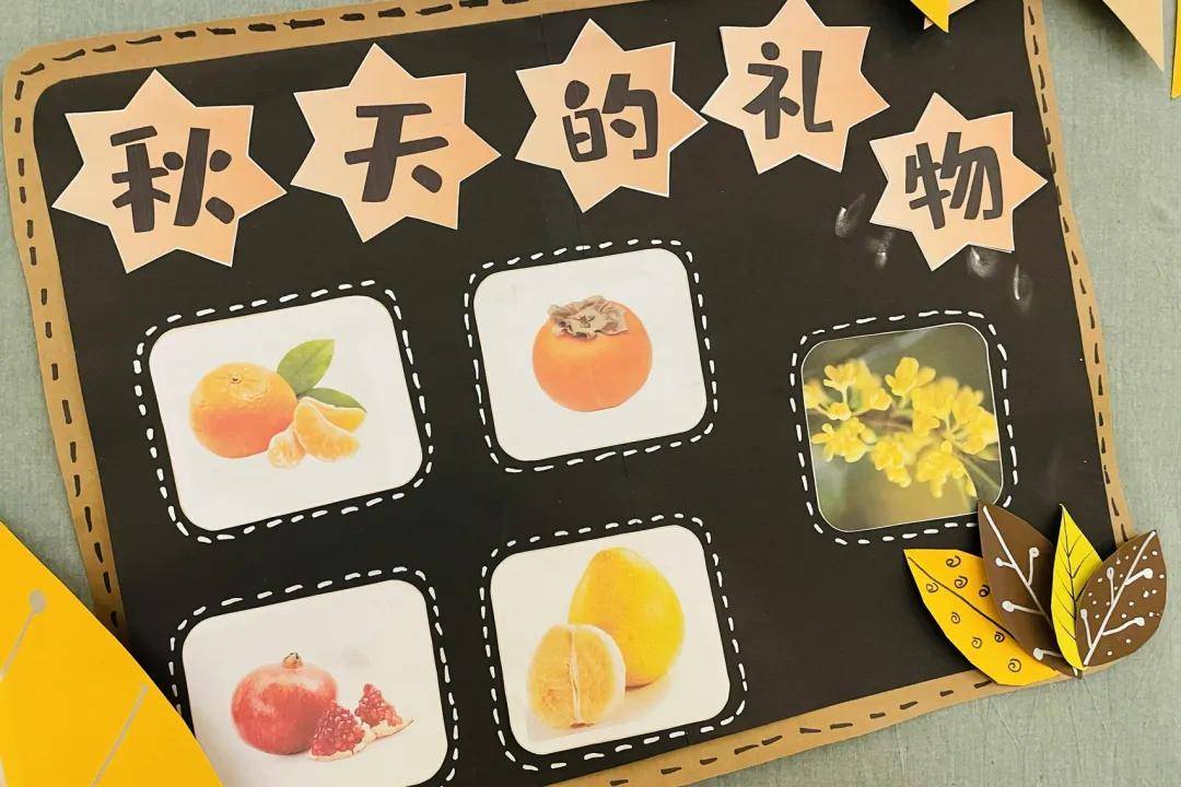 原则|金睿云学院：100＋精选图，教你搞定幼儿园秋季环创（幼师收藏）