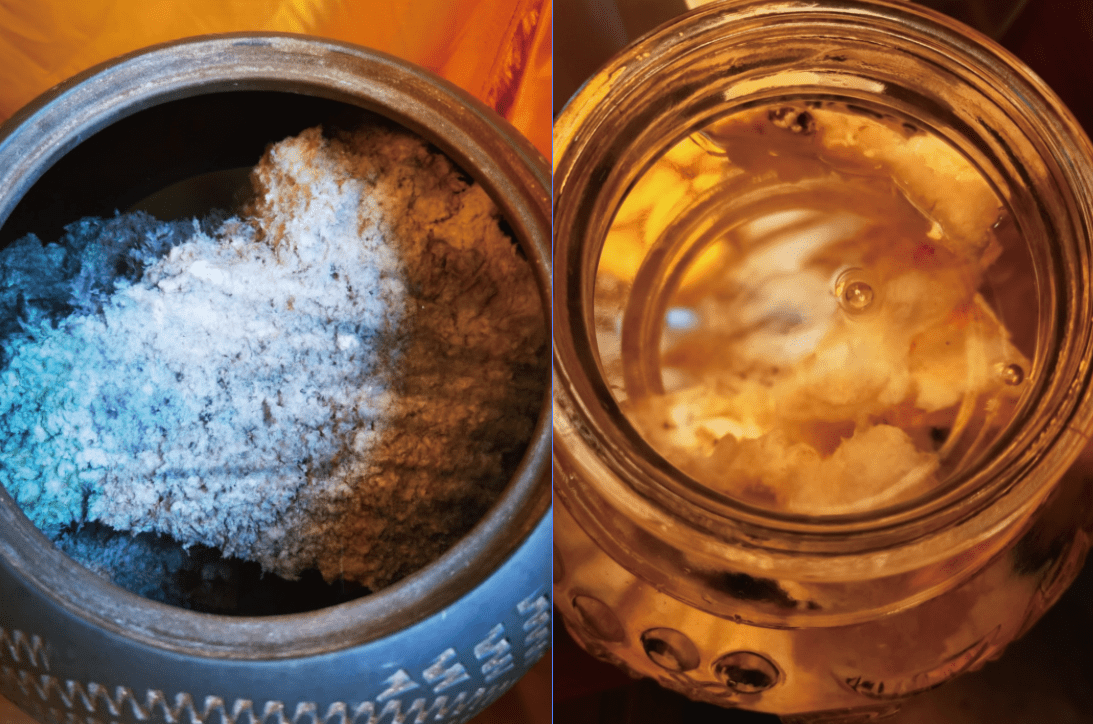 石太岁究竟是何物