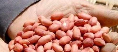 降低|这东西很常见却是天然的“降糖药”帮你稳定血糖