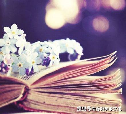 不再去期待不该有的期待 edf62de2f0014e3ca0b1631fda752392.jpeg