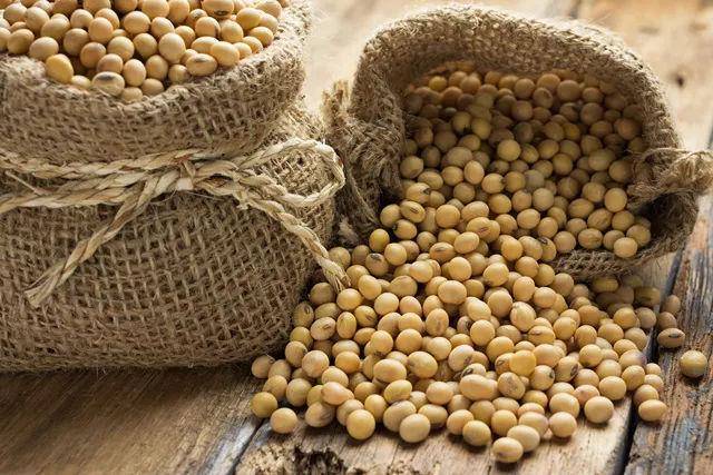 啥是白豆子 3367e6da4192497aab10d740b48c7537.jpeg