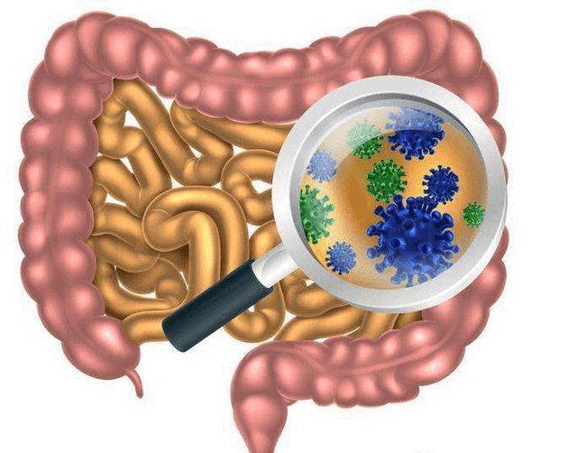 肠道|越来越胖是不是身体出了问题 是哪些原因导致的