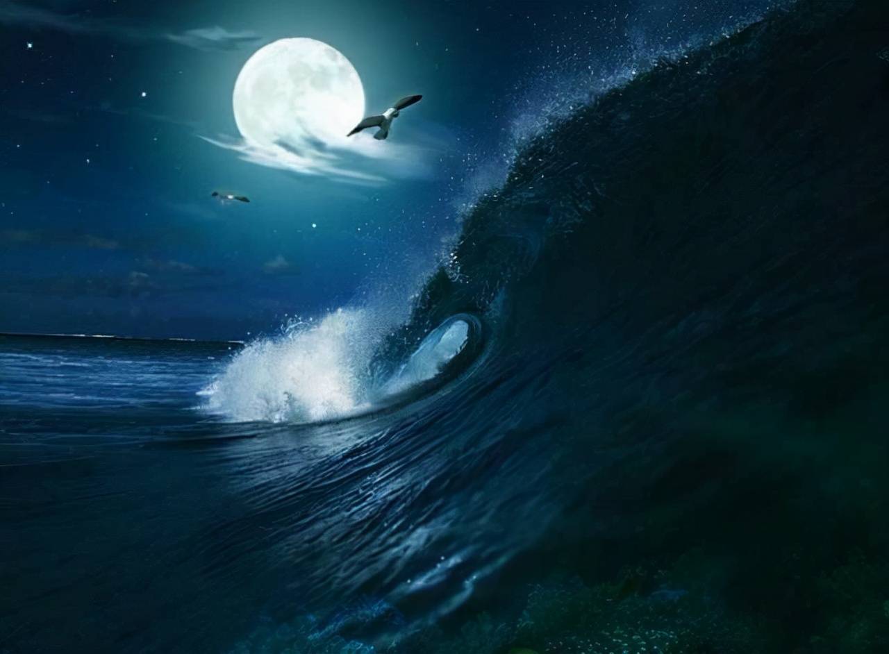 大量涌向岸边的海水,退潮后又去了哪儿?_潮汐