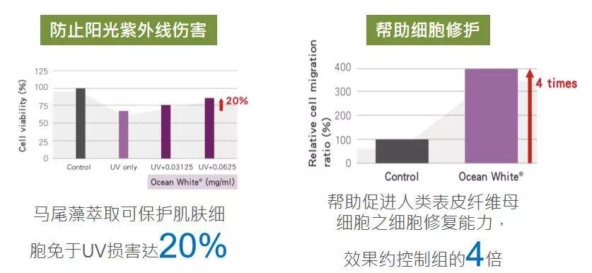 技术|实验测评|扎心了，你们的修护面膜竟然只能补水？！