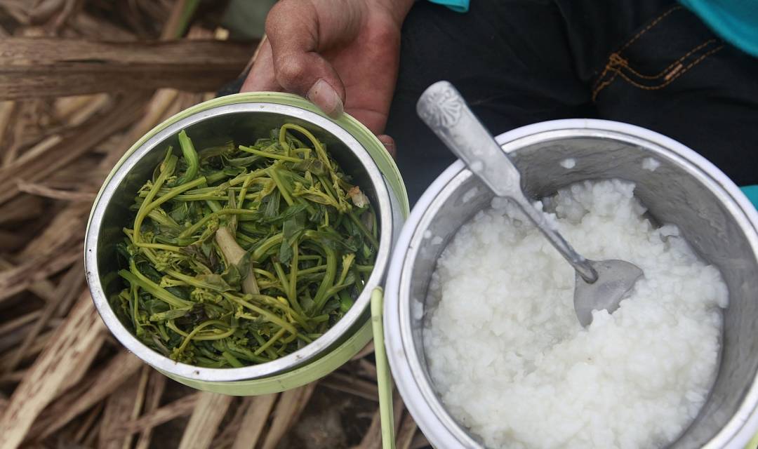 血管|激活胰岛素的冠军,不是苦瓜,没事敞开喝,血糖慢慢退回安全线