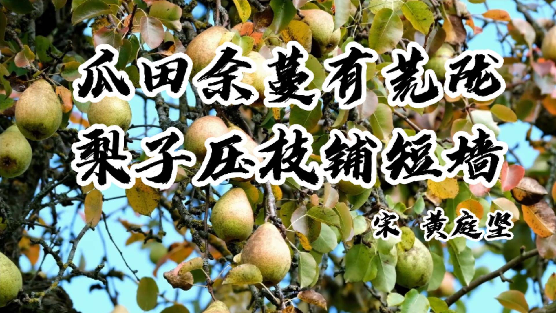 8755f870c375454b884e0ec5d638b804.jpeg