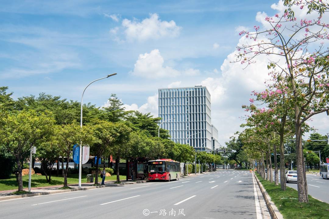 大学城|广州免费开放的美丽小岛，地铁穿岛而过，路上几乎没有汽车和行人