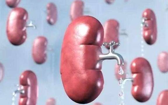 病因|糖尿病为何易发肾病?出现肾病有什么信号?