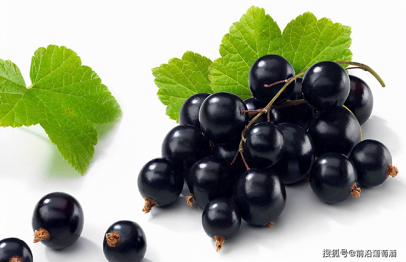 用于描述|葡萄酒常见香气分类图鉴详解,果实类香气图鉴、特点及品鉴方法