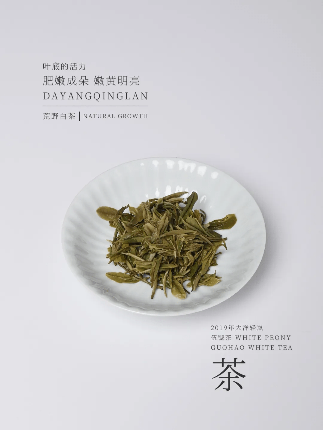 国号|中秋福利:大洋轻岚超值大礼盒