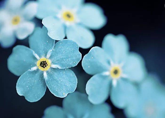 五行属水生木 90e4d045c56c4be5a283a07b03fabca9.jpeg