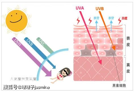什么|干皮、油皮、敏感肌怎么选防晒霜？四大防晒知识，防晒小白必看！