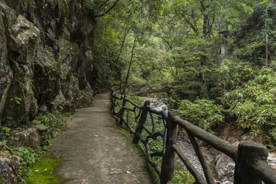 生物|遂昌也有“动植物园”？快去打卡~