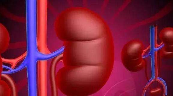 肾脏|肾脏健不健康，光靠肌酐可不行！不妨记住这1个指标，3个阶段